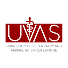 University of Veterinary & Animal Sciences